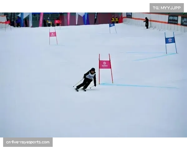 全国大学生滑雪挑战赛推动冰雪运动进校园 全国大学生滑雪挑战赛推动冰雪运动进校园